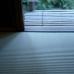 瓢亭 - 午後五時の光が畳に映える