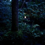 瓢亭 - 庭に行灯の光が揺れる