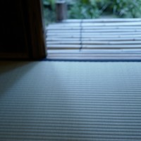 瓢亭 本店 - 午後五時の光が畳に映える