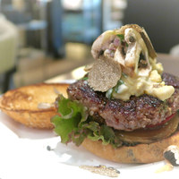 ダルマット 六本木ヒルズ店 - 