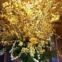 丸新 - エントランスの綺麗✨な生け花(☆∀☆)