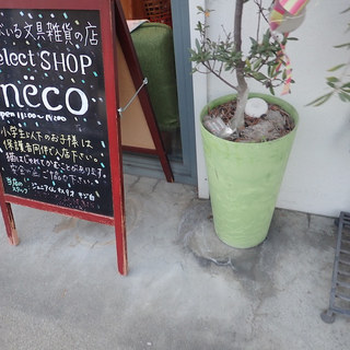 セレクトショップ ネコ_1