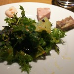 Osteria caiman table - グリーンサラダ ガスパチョソース