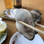 Akino Kuni - １個目をアップ、プリップリとしか表現しようのない大粒牡蠣です！（２０１９．２．２１）
