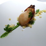 レフェルヴェソンス - 