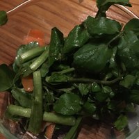 恵比寿 希鳥 -  恵比寿 希鳥 -