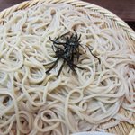 戸隠そば - 蕎麦はやや柔らかめのお蕎麦です、２・８の蕎麦かな？ 