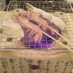 日本鮮魚甲殻類同好会 - お通しに新鮮なエビが！タラバが！