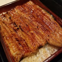 うなぎ 目白ぞろ芽 - 共水うなぎ