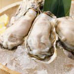 Mysterious Oyster 2L size raw oysters from Akkeshi, Hokkaido