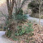 すずめ庵 - スゴイ坂でしょ