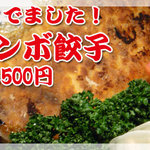 六本木餃子本舗 - 当サイト　クーポン利用でソフトドリンク　サワー・ハイボールのいずれか一杯無料！