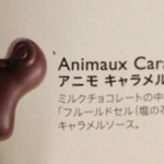 ピエール マルコリーニ - 