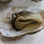 かき焼 うちの海 - 