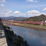 ロカンタ - 店の入り口からぱちり