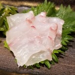 鮨匠 のむら - (03)鮃(鹿児島県開聞岳沖産、2.8kg、1日寝かせ)
      産卵期は春～初夏、旬は秋～晩冬。
      軽めに昆布〆された鮃だそうですが、あまり昆布〆っぽい感じがせず、甘い鮃の旨みを堪能。