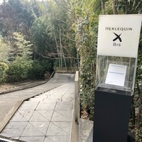 エルルカン・ビス - レストランへは、この階段を下って行きます。