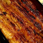 うなぎ 魚政 - 坂東太郎様