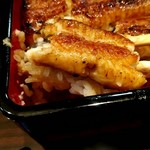 うなぎ 魚政 - 坂東太郎様