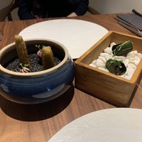 ル スプートニク - 