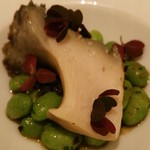 カンテサンス - 