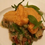 カンテサンス - 