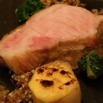 カンテサンス - 