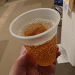 前沢温泉　舞鶴の湯 - 甘酸っぱくて美味しい！