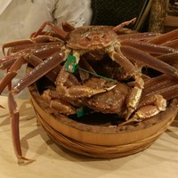 富小路 やま岸 - 