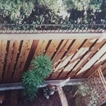 ラ モワッソン - うちはﾉﾗ猫・ﾉﾗ鼬（イタチ）が多いので、もう庭を分断して塀を建てるしか無かったです。