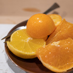 うを徳 - 2019.2 愛媛黄金柑、佐賀はまさき（カクテルオレンジ）、鹿児島たまたまエクセレント（金柑）