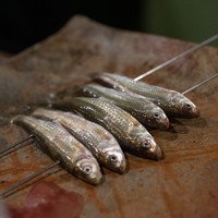 うを徳 - 2019.2 琵琶湖活きホンモロコ炭火焼き