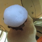 SALONE TOKYO - 鮪ブレザオラ　ピスタチオのブリュレ