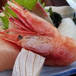 道の駅　舟屋の里 - 