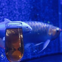 焼肉 拍手喝采 - 