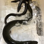 旬ものと日本酒 とみ笑 - 天然鰻