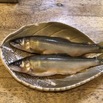 旬ものと日本酒 とみ笑 - 山口の鮎