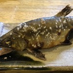 旬ものと日本酒 とみ笑 - 山口の鮎の炭火焼き