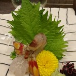 設楽 - 1902美味車海老刺し