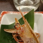 設楽 - 1902頭は塩焼き