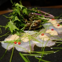 シャイニーアウル 表参道 - 