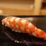 日本橋蛎殻町 すぎた - 車海老