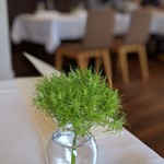 クラリタ ダ マリッティマ - 