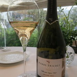 プレヴナンス - CHAMPAGNE BRUT BLANC DE NOIR GRAND CRU