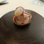 プレヴナンス - ラディッシュタルト