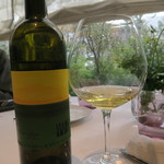 プレヴナンス - Muster Sauvignon vom Opok 2016