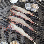 魚稚 - 足赤海老と牡蠣