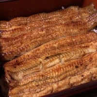 つきじ宮川本廛 - 