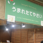 Hareyaka Farm No Umaretate Yasai - お店の看板