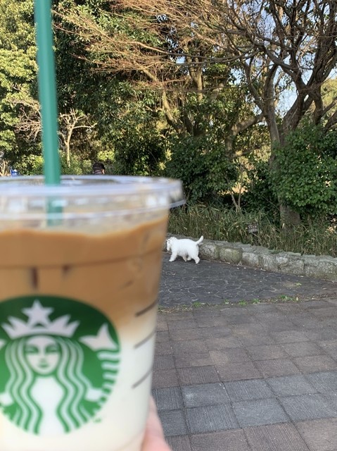 スターバックス コーヒー 金立サービスエリア 下り線 店 Starbucks Coffee 伊賀屋 カフェ 食べログ スターバックス コーヒー 金立サービスエリア 下り線 店 Starbucks Coffee 伊賀屋 カフェ 食べログ